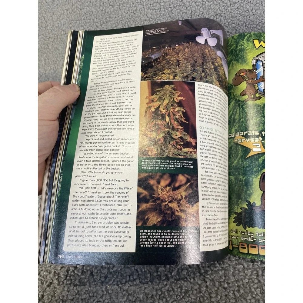 HIGH TIMES Magazine OCTOBER‎ 2000 #302 HALLOWEEN SPECIAL ISSUE